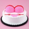 Artificial Cake Erotic Bra Underwear Adult Birthday Cake Replica Prop Party Decoration; Pink Bikini; 10 inches