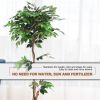 5.5 Feet Artificial Ficus Silk Tree with Wood Trunks