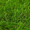 Artificial Grass 1.6'x16.4'/1.6" Green