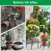 4Packs Iron Plotted Plant Stands Shelves Heavy Duty Round Flower Pot Holder Rack Home Yard Garden Patio Décor