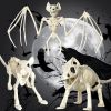 Spook Up Your Halloween Decor with This Vivid Bat Skeleton Model!