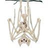 Spook Up Your Halloween Decor with This Vivid Bat Skeleton Model!